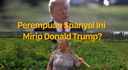 Benarkah Ibu ini Kembaran Donald Trump dari Spanyol?