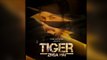 Tiger Zinda Hai Poster - Salman Khan - Fan Made Goes Viral