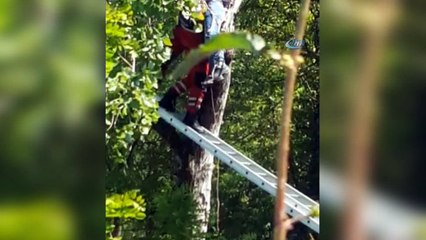 Kendisini asmak için ağaca çıkan şahsı ekipler böyle kurtardı