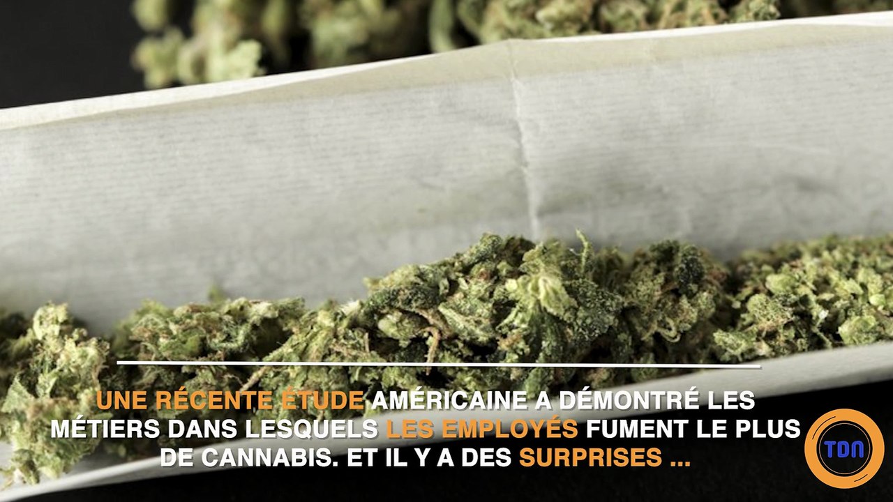 Des métiers plus propices que d'autres