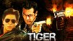 CONFIRMED! Shahrukh Khan’s Cameo In Salman Khan’s Tiger Zinda Hai