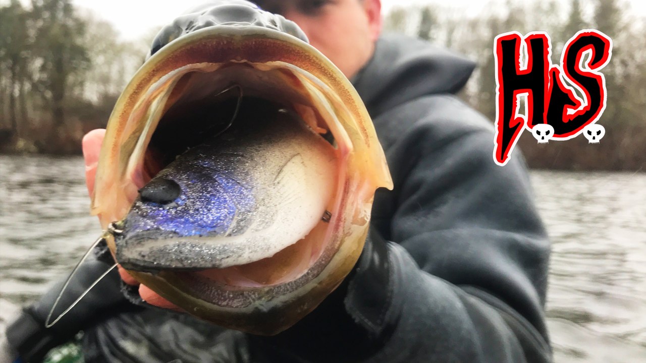 Hook Shots: The Cape Cod Largemouth Saga