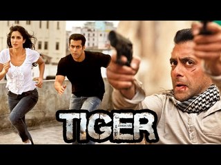 Salman Khan & Katrina Kaif's Tiger Zinda Hai | 5 Exciting Facts