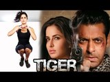 Katrina Kaif Learns Combat Training For Tiger Zinda Hai