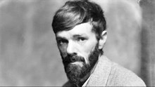 D. H. Lawrence Quotes