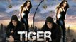 Salman & Katrina Kaif's TIGER ZINDA HAI Poster - FAN Made Goes Viral | Ek Tha Tiger Sequel