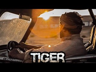 LEAKED! Salman Khan's Chasing Scene From Tiger Zinda Hai