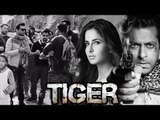 Salman & Katrina's Tiger Zinda Hai Shoot Starts This March | Releases Christmas 2017