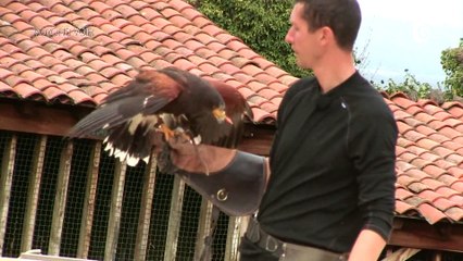 VOYONS VOIR - 26 AVRIL 2018