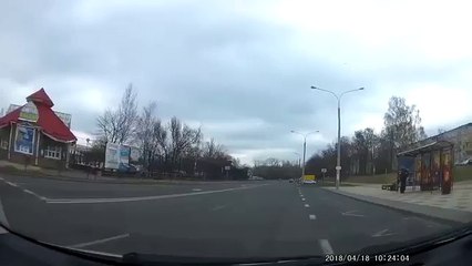 Baston de cigognes sur la route (Minsk)