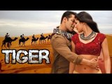 Salman Khan Shoots For Tiger Zinda Hai In 45° Celsius - WATCH