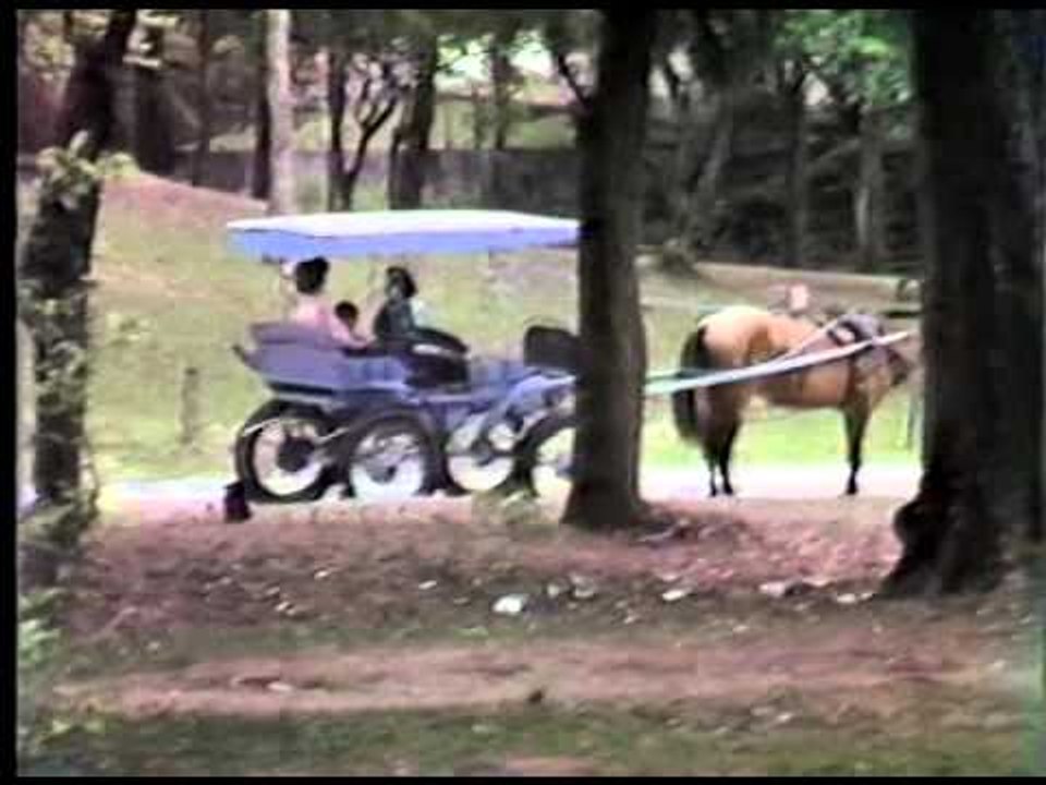 Terno Rei - Saudade