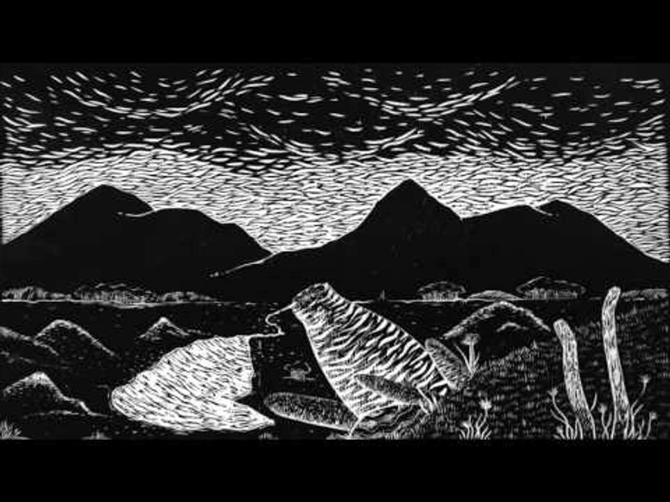 Câmera - Random