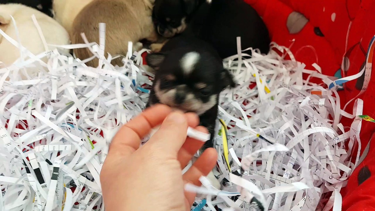20180417_193102