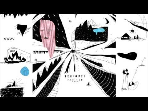 Terno Rei - Salto da Pedra da Gavea