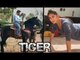 Salman's Horse Riding Training VIDEO ,Katrina Kaif Doing One Arm Push Ups On Tiger Zinda Hai Sets