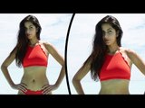Katrina Kaif Looks Red H0T In Bikini - Throwback Memories