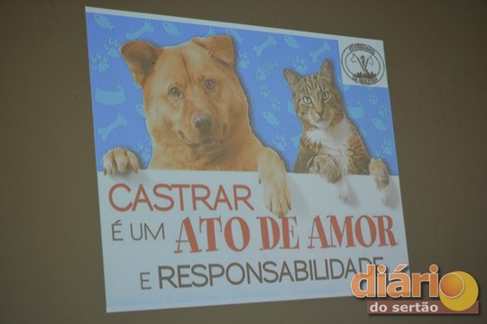 Faculdade Santa Maria e Prefeitura de Cajazeiras lançam projeto para castração e cuidado dos animais de rua