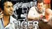 Nawazuddin Siddiqui REJECTS Salman's Tiger Zinda Hai, Salman Khan's HEAVY WORKOUTS Lose 17 Kg Weight