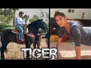 Salman To Lose Weight For Dance Film, Katrina Kaif Doing One Arm Push Ups For Tiger Zinda Hai