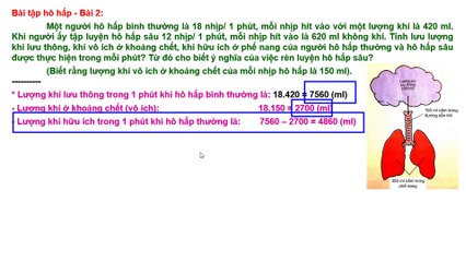 Bài tập BD HSG Sinh hoc 8 - Chương IV Hoạt động hô hấp - Bài 2