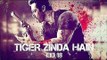 TIGER ZINDA HAI Poster - Salman Khan - Fan Made Goes Viral