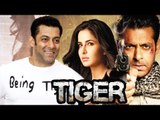 Salman Khan Demands 50% Profit Share In Tiger Zinda Hai