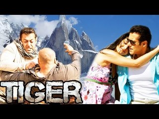 Salman Khan's Tiger Zinda Hai Shoot Starts In Freezing Austria From 15 March