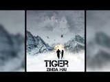 Salman & Katrina Kaif's TIGER ZINDA HAI Poster - FAN Made Goes Viral