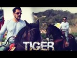 VIDEO - Salman Khan's Horse Riding Training For Tiger Zinda Hai In Morocco