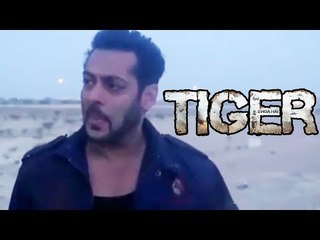 Salman's KILLING LOOK From Tiger Zinda Hai Abu Dhabi Shoot⁠⁠⁠⁠