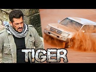 Salman's Heat Stroke On Tiger Zinda Hai Sets Real Story Revealed