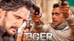 Salman Khan's Tiger Zinda Hai Sudeep Play VILLAIN Role