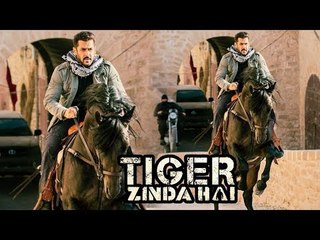 Salman Khan's Horse Action Scenes In Tiger Zinda Hai