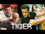 Salman-Katrina To Shoot In 5 Countries For Tiger Zinda Hai - Including India