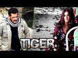 Salman's Tiger Zinda Hai 1000 BULLET SHOT Out , Aishwarya's S€XY Pose On Grazia Cover Page