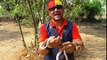 Man releasing snake Semi Venomous(Brown vine Snake)snake rescue team Panchet dam(N G O)