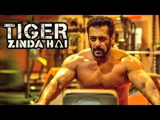 Salman Khan Goes SHIRTLESS For Tiger Zinda Hai - WORKOUTS Hard