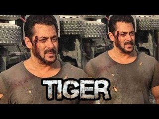 Salman Khan INJURED BADLY During Shoot On Tiger Zinda Hai Sets