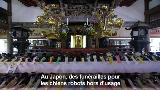 Au Japon, des funérailles pour les chiens robots hors d'usage