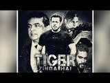 Salman's TIGER ZINDA HAI Poster - Fan Made Goes Viral - Katrina Kaif , Angad Bedi