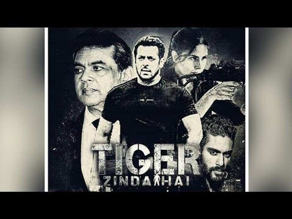 Salman's TIGER ZINDA HAI Poster - Fan Made Goes Viral - Katrina Kaif , Angad Bedi