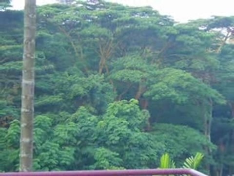 For: Rent [ Condos / Apts ] - Le Hill Condo @ Pasir Panjang