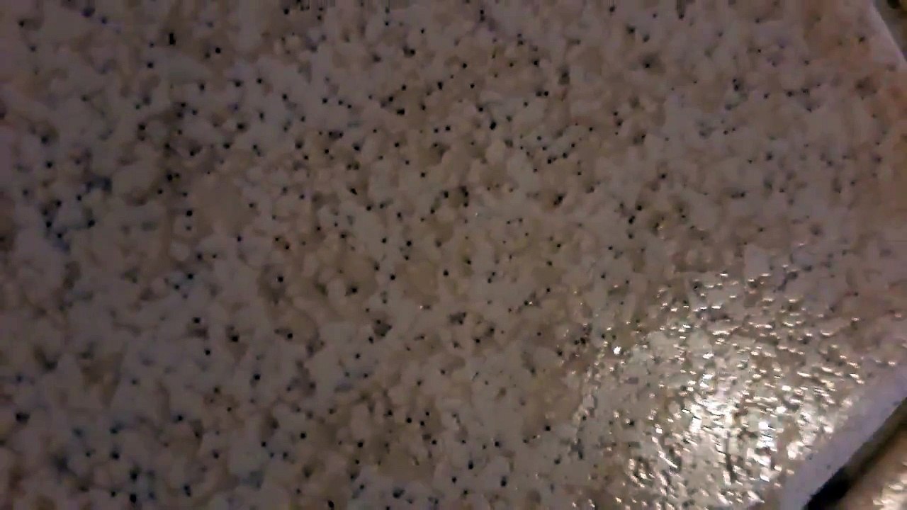 My pets!