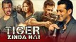 Salman Khan Wrote Dialogues For Tiger Zinda Hai - Revealed