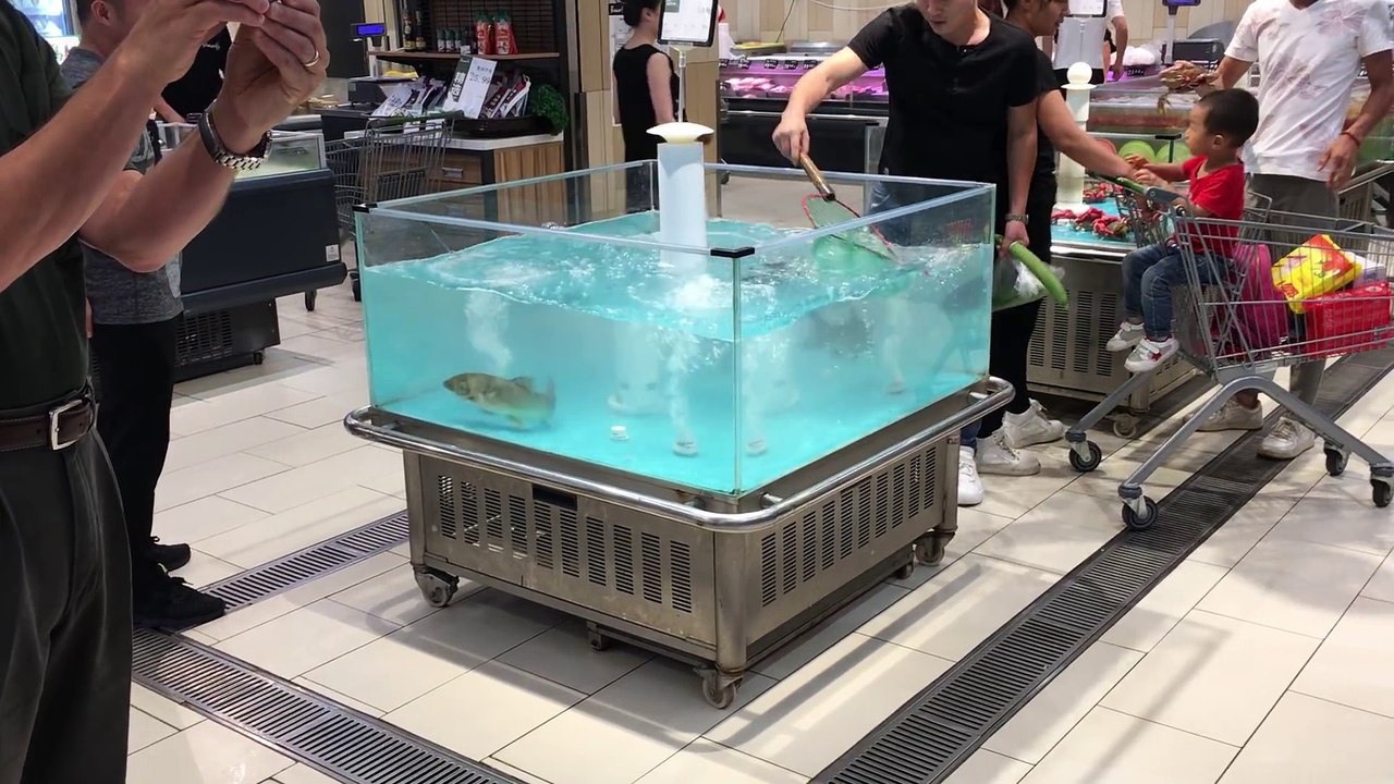 Un poisson saute directement dans le caddie d'un client... Aller, à table