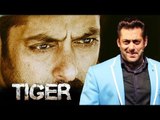 Salman Khan To Begin Early Promotions For Tiger Zinda Hai