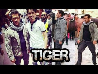 Salman's Deadly Entry LEAKED From Tiger Zinda Hai