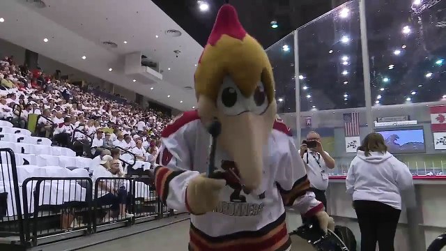 AHL San Jose Barracuda 0 at Tucson Roadrunners 6