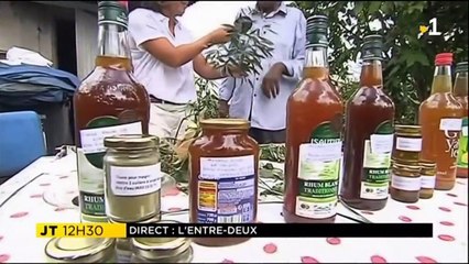 Isabelle Allane à l'Entre-Deux avec le tisaneur Grand Mico qui nous présente quelques plantes médicinales et nous parle d'une anecdote avec Coluche !